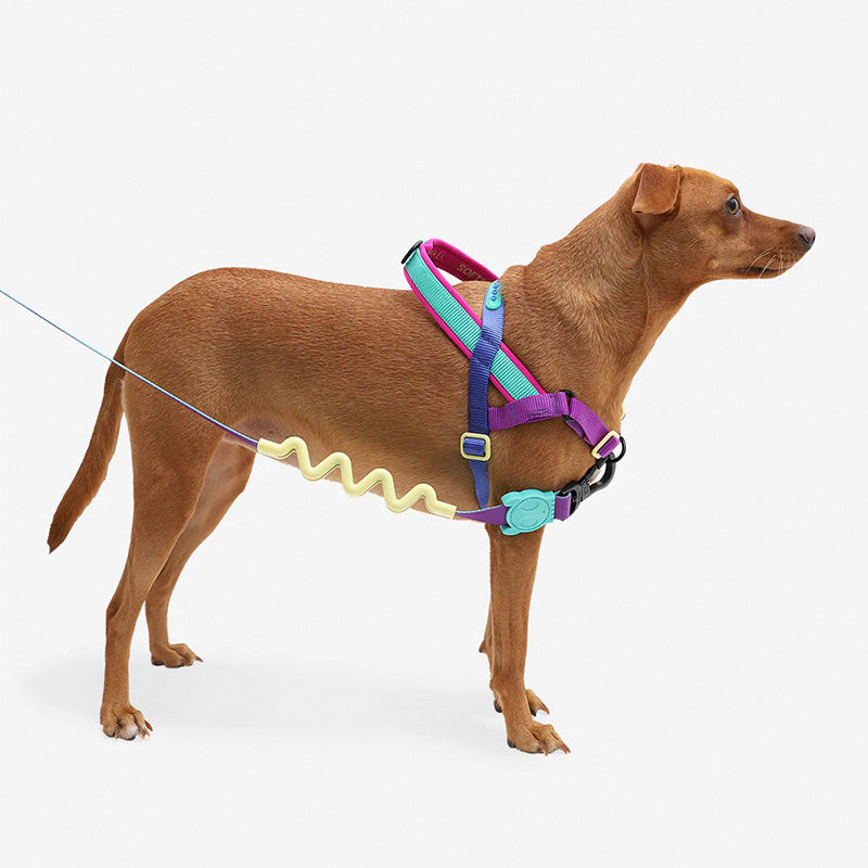 Zee.Dog Shockwave SofterWalk