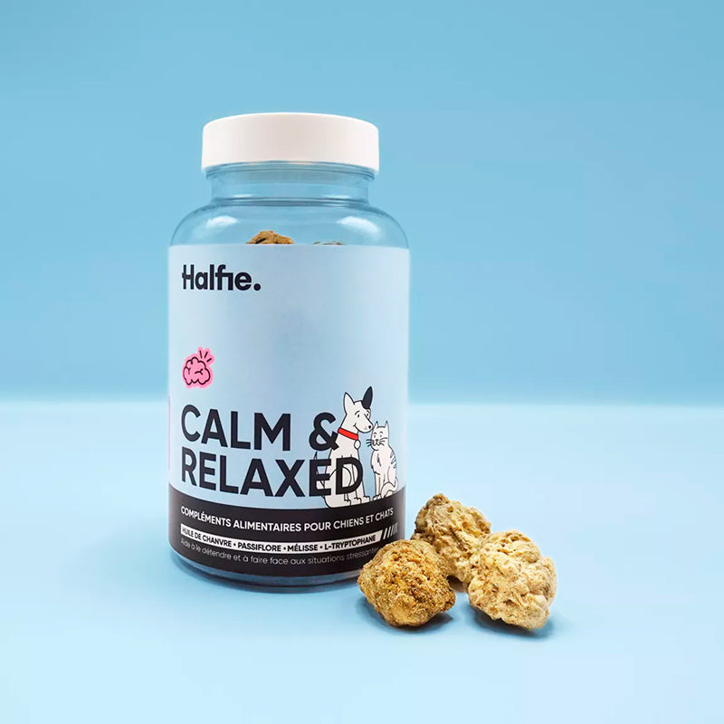 Halfie Calm & Relaxed