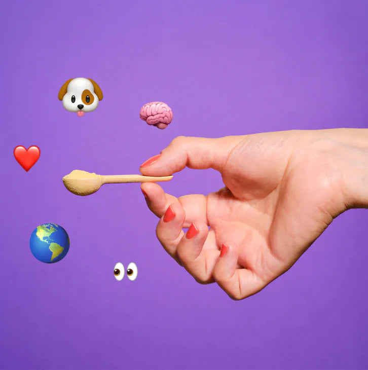 Jampy Articulaciones condroprotector