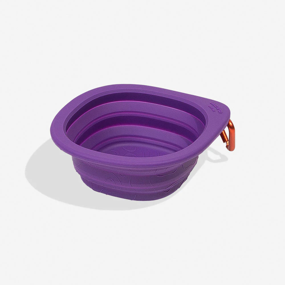 ZeeDog Peak Go Bowl