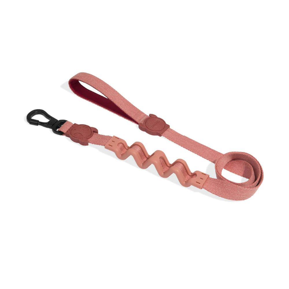 zeedog Ruff Leash Canyon