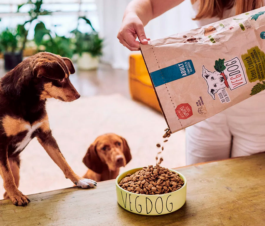 Vegdog Green Crunch pienso perro