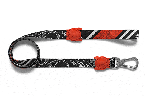 ZEE.DOG PAISLEY LEASH