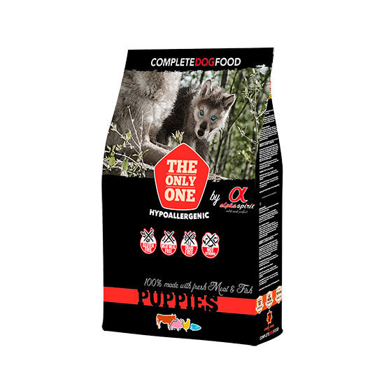 alpha spirit puppies cachorro