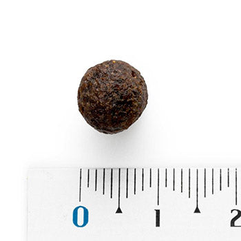 Natura Diet Daily Food Mini