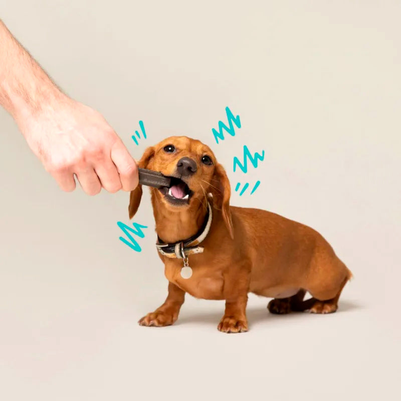 Edgard & Cooper Doggy Dental mint strawberr