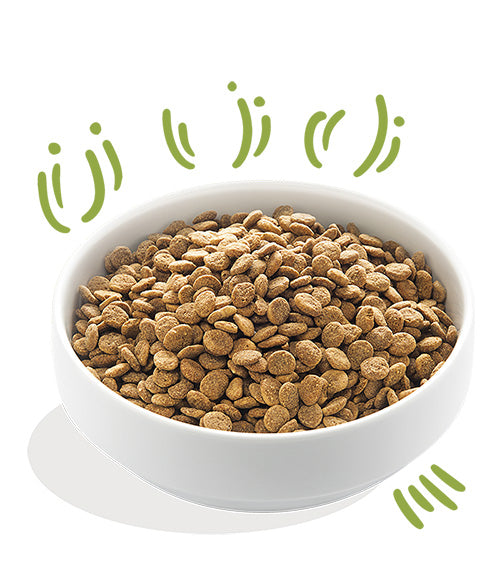 Edgard Cooper Cordero Salmon Noruego