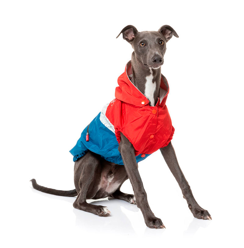 Chubasquero The Seattle Blue