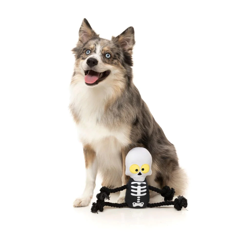 Fuzzyard Halloween Indiana perro