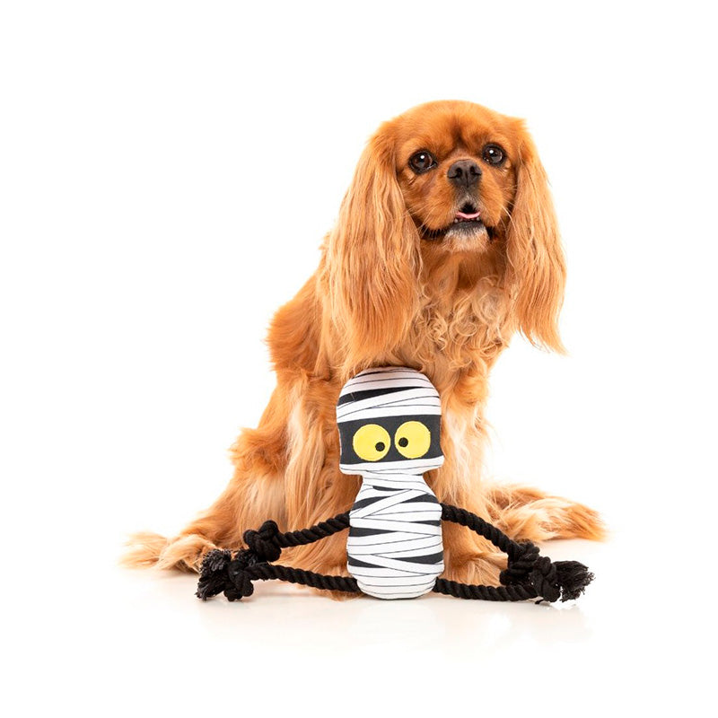 Fuzzyard Halloween Ryan Gauze Ling