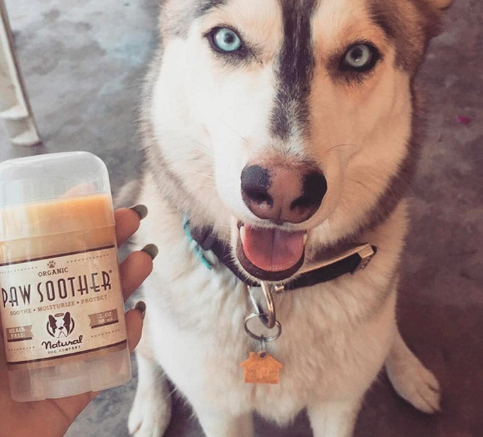 Paw Soother Organic Stick perro