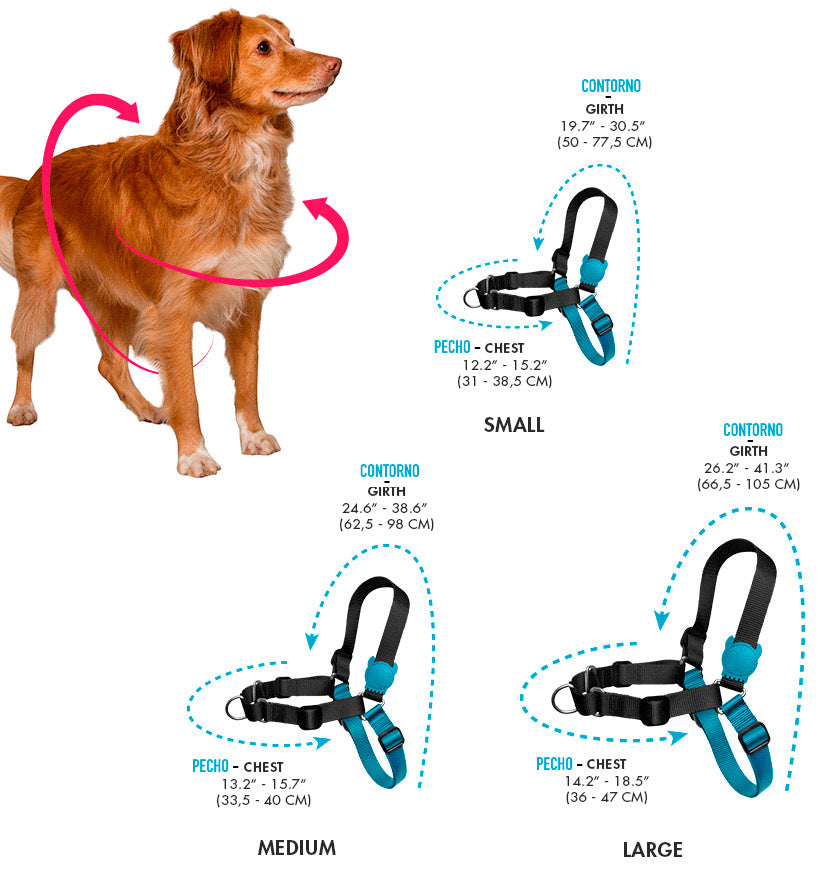 ZeeDog Pink Led Soft Walk
