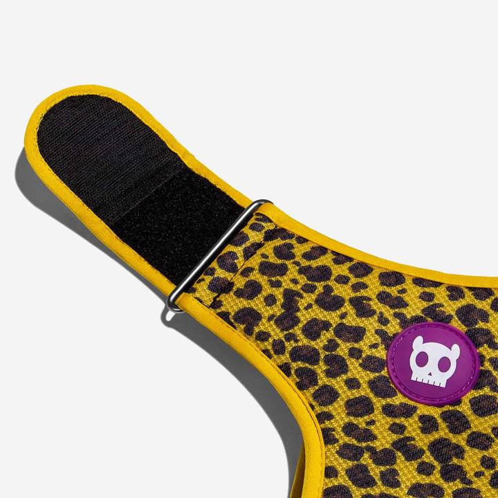 Zee.Dog Honey Ajustable