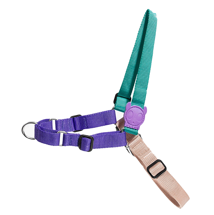 ZeeDog Boogie Soft Walk arnes perro