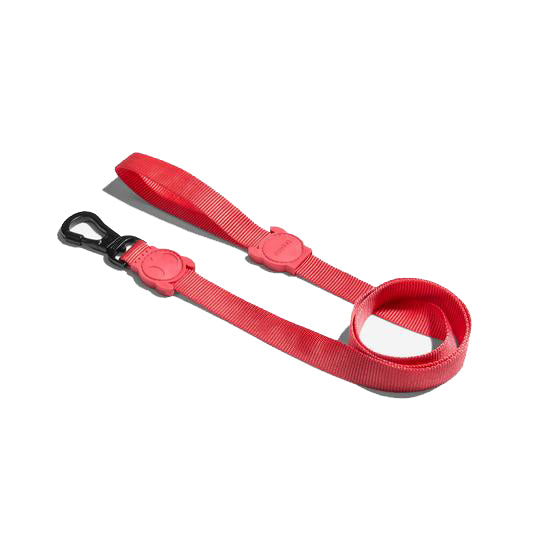 Zee.Dog Correa Neon Coral