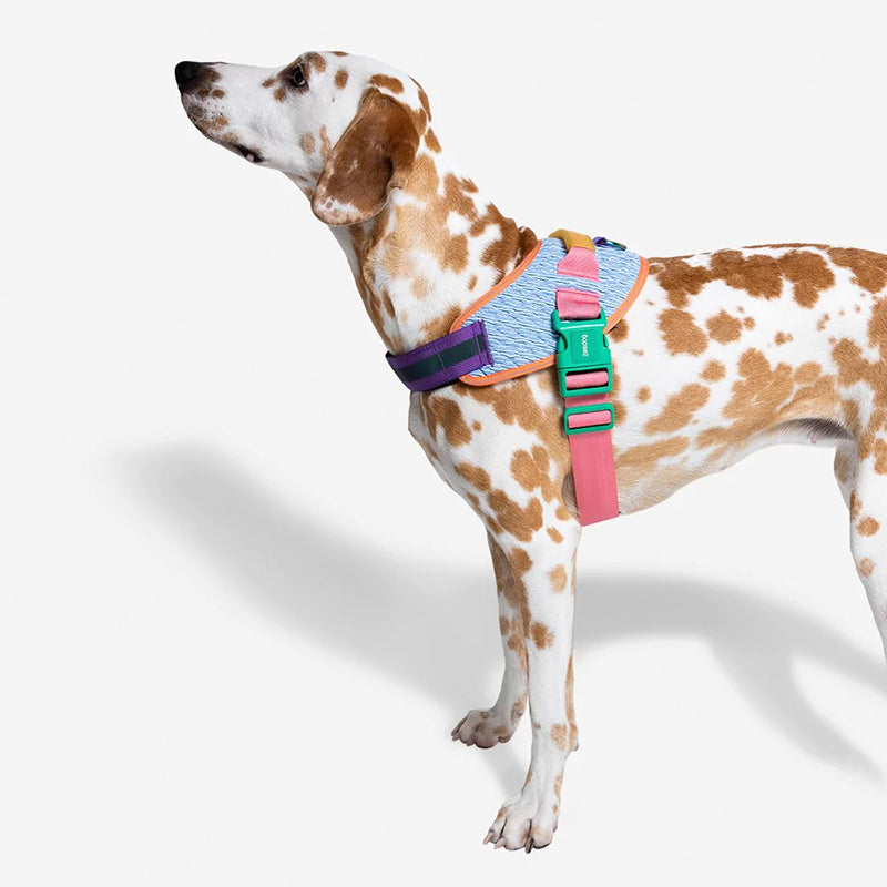 Zee.Dog Galaxy FlyHarness PERRO