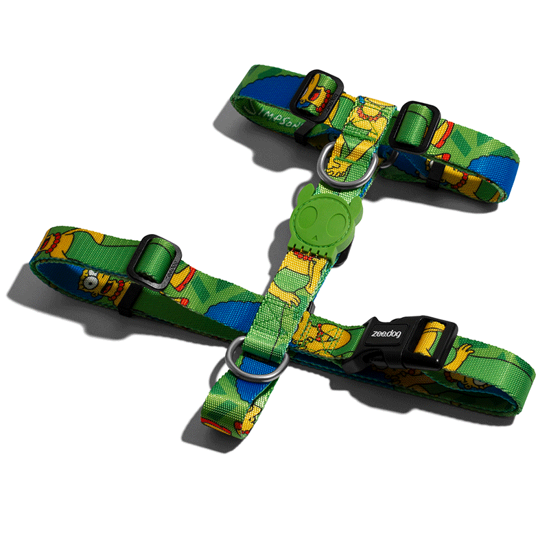 Zee.Dog Mage Simpson arnes perro