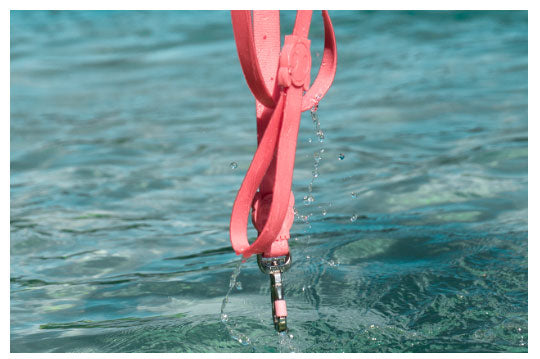 Zee.Dog Correa Neopro Bubblegum