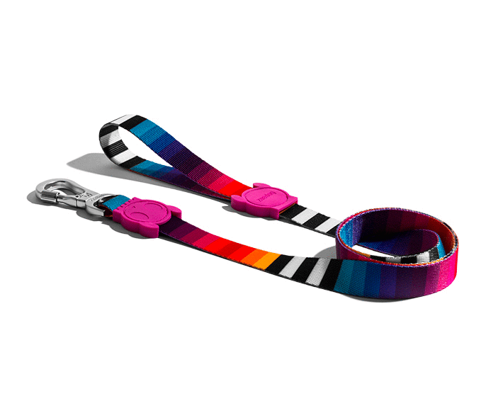 zeedog prisma leash