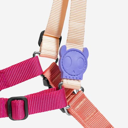 ZeeDog Cinnamon Soft Walk