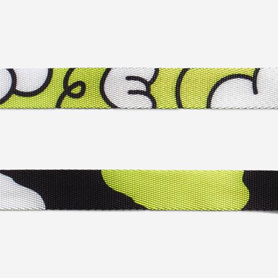 ZeeDog Collar Smash perro