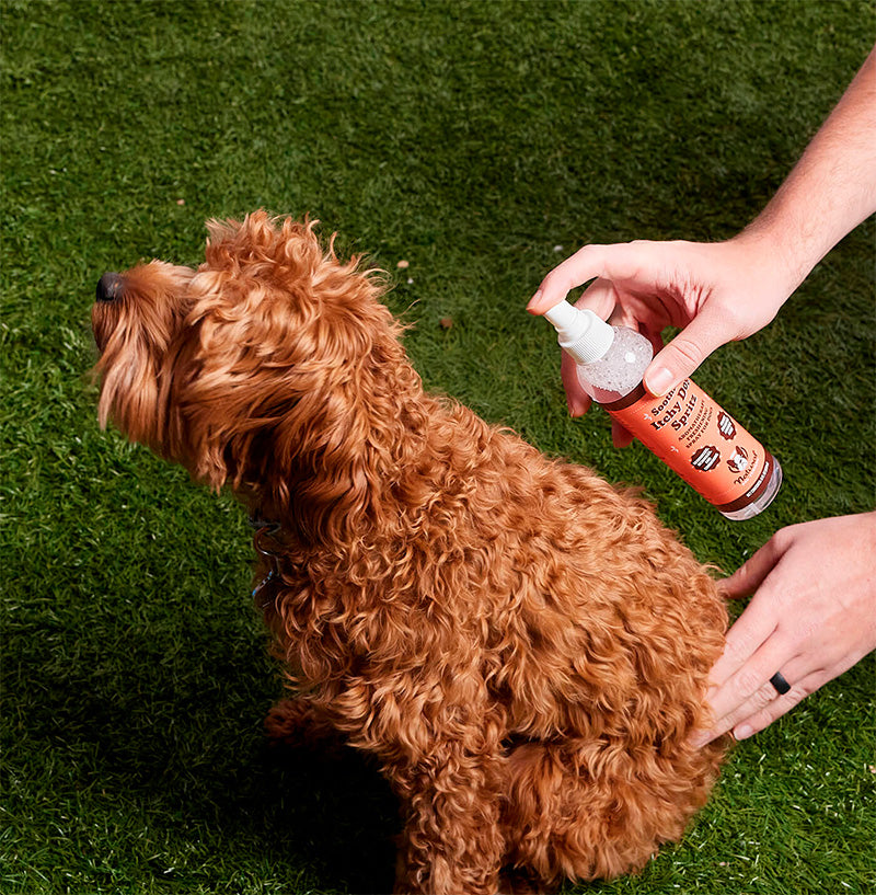 Natural Dog Company Itchy Dog Spray