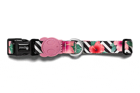 Zee.Dog Mahalo collar