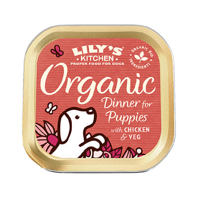 Jantar Eco para Cachorros