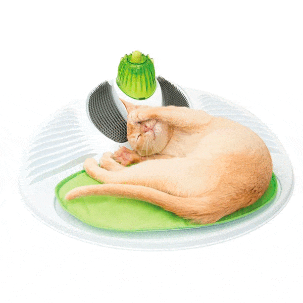 CENTRO DE BEM-ESTAR CATIT SENSES 2.0