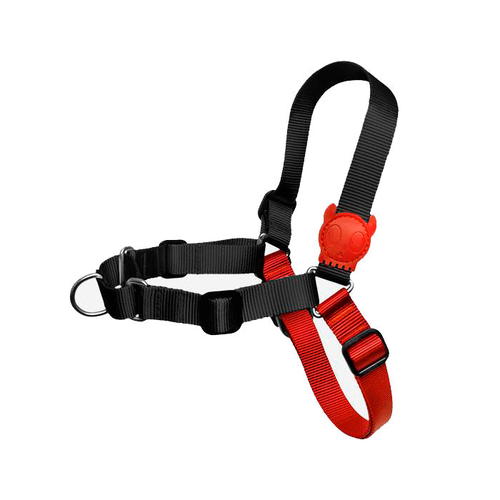 Zee.Dog Fatboy Soft-Walk Harness